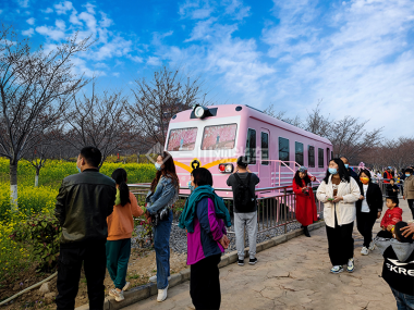櫻花無動力列車,景區軌道